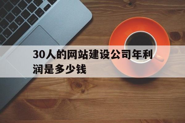 30人的网站建设公司年利润是多少钱(做一个网站每年多少钱),30人的网站建设公司年利润是多少钱(做一个网站每年多少钱),30人的网站建设公司年利润是多少钱,第1张