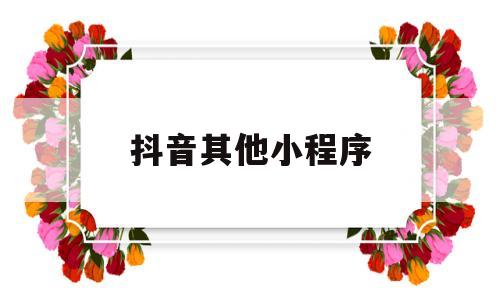 抖音其他小程序(抖音app小程序在哪找),抖音其他小程序(抖音app小程序在哪找),抖音其他小程序,第1张
