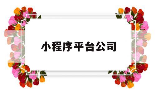 小程序平台公司(小程序服务公司),小程序平台公司(小程序服务公司),小程序平台公司,第1张