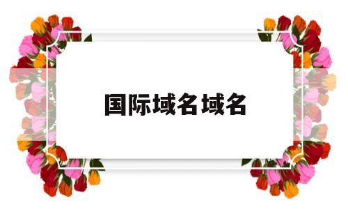 国际域名域名(国际域名平台),国际域名域名(国际域名平台),国际域名域名,第1张