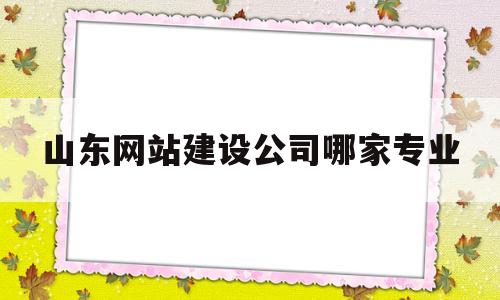 山东网站建设公司哪家专业(山东省网站建设),山东网站建设公司哪家专业(山东省网站建设),山东网站建设公司哪家专业,第1张