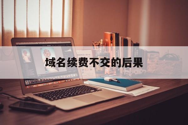域名续费不交的后果(域名续费不交的后果有哪些),域名续费不交的后果(域名续费不交的后果有哪些),域名续费不交的后果,域名注册,投资,商城,第1张